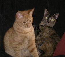 IMGP6510.JPG (110628 bytes)