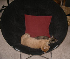 IMGP6520.JPG (107993 bytes)